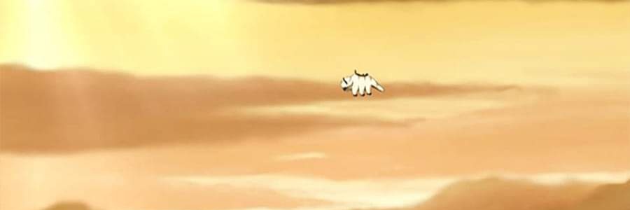 flimsy steve banner