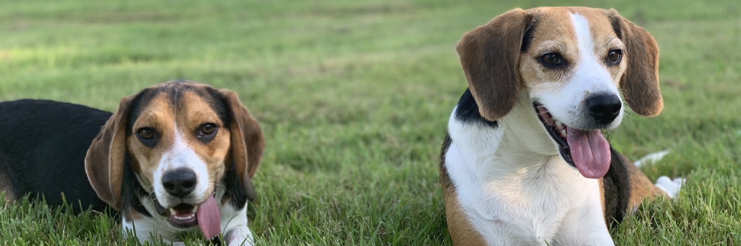 Cecelie Släter banner