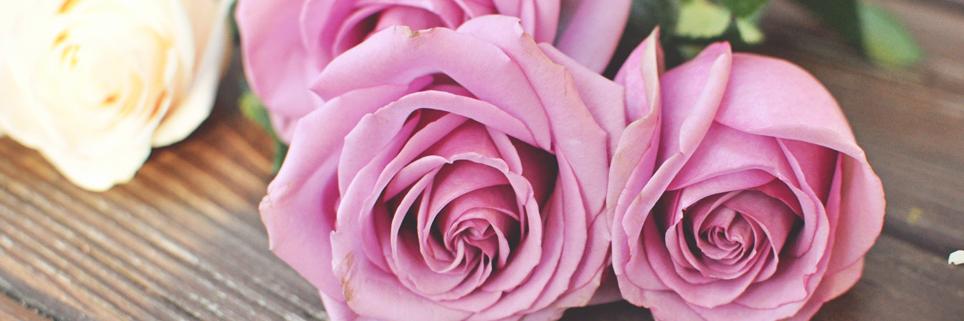 MusicalAshley's profile banner image