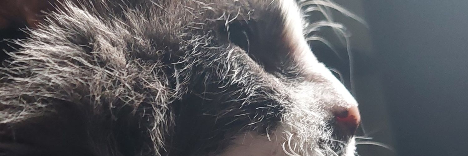 MathiasFinis's profile banner image