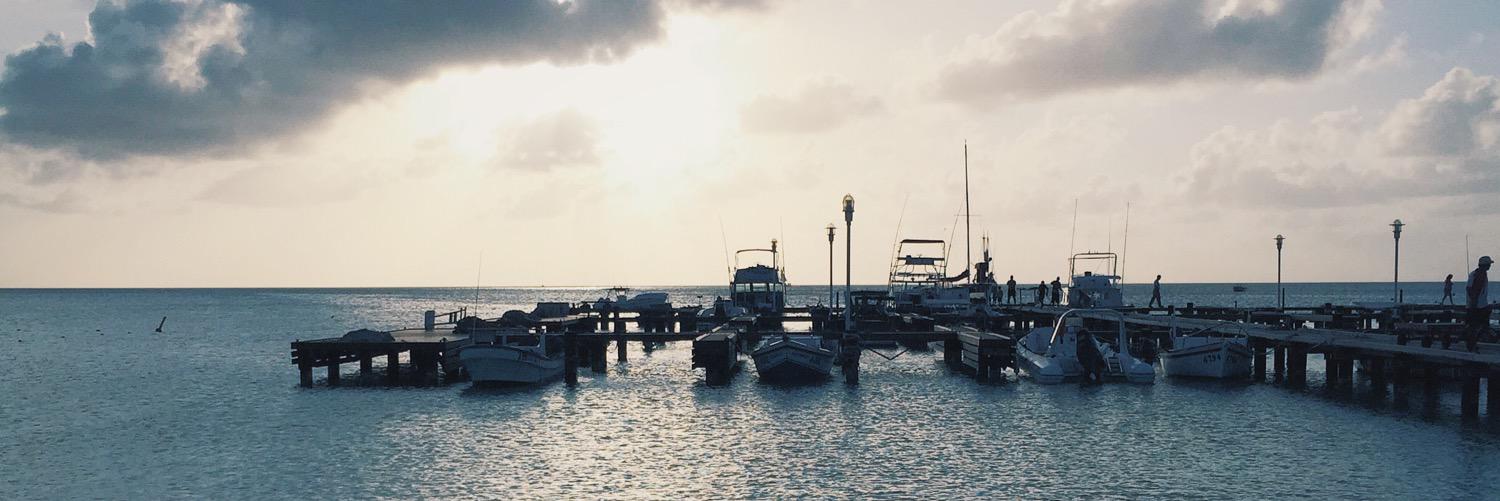 willobrien_'s profile banner image