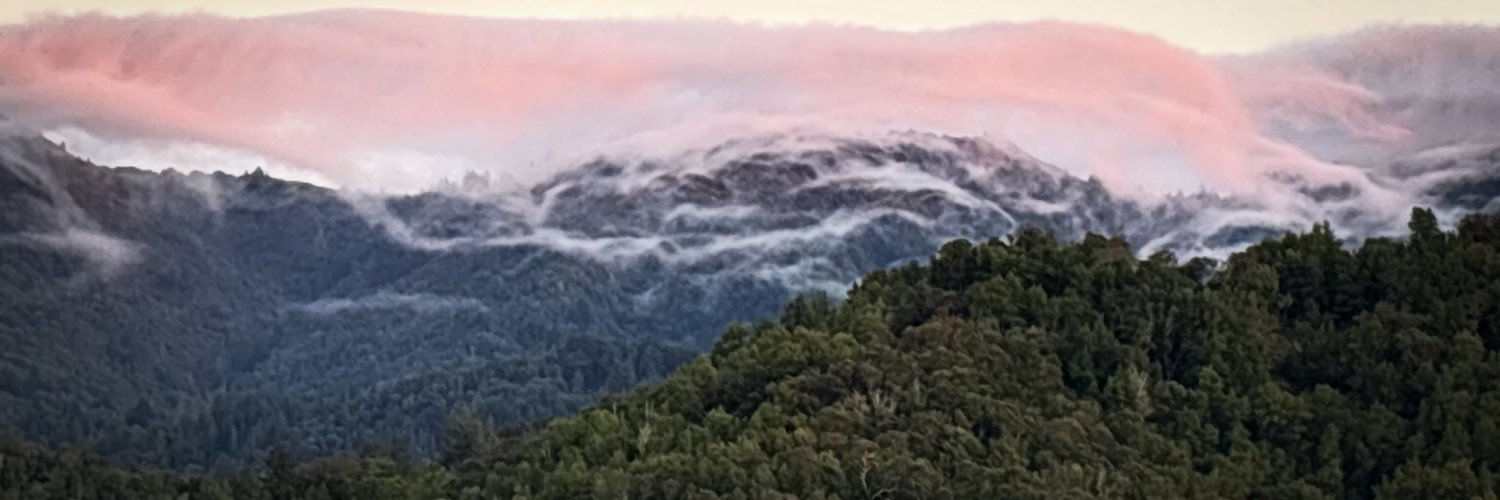 CaliforniaFirst's profile banner image