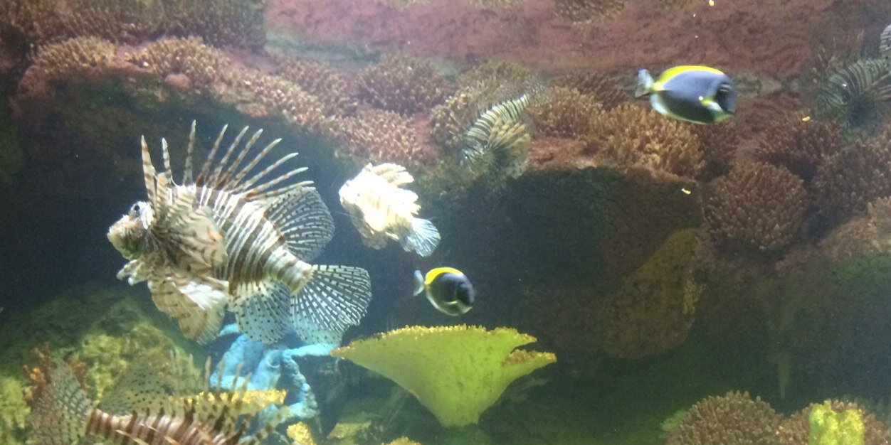 Jéssica Mendonça banner