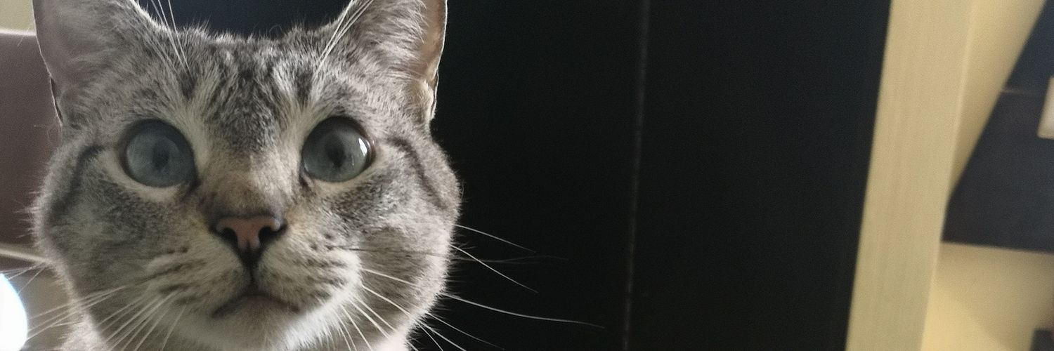 adrixalmazan2's profile banner image