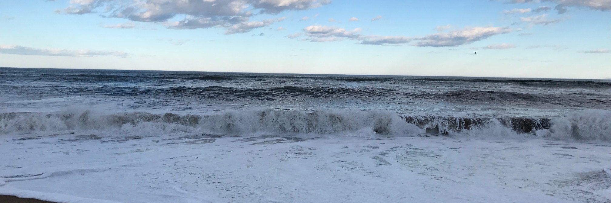 AstronautsOnEarth banner