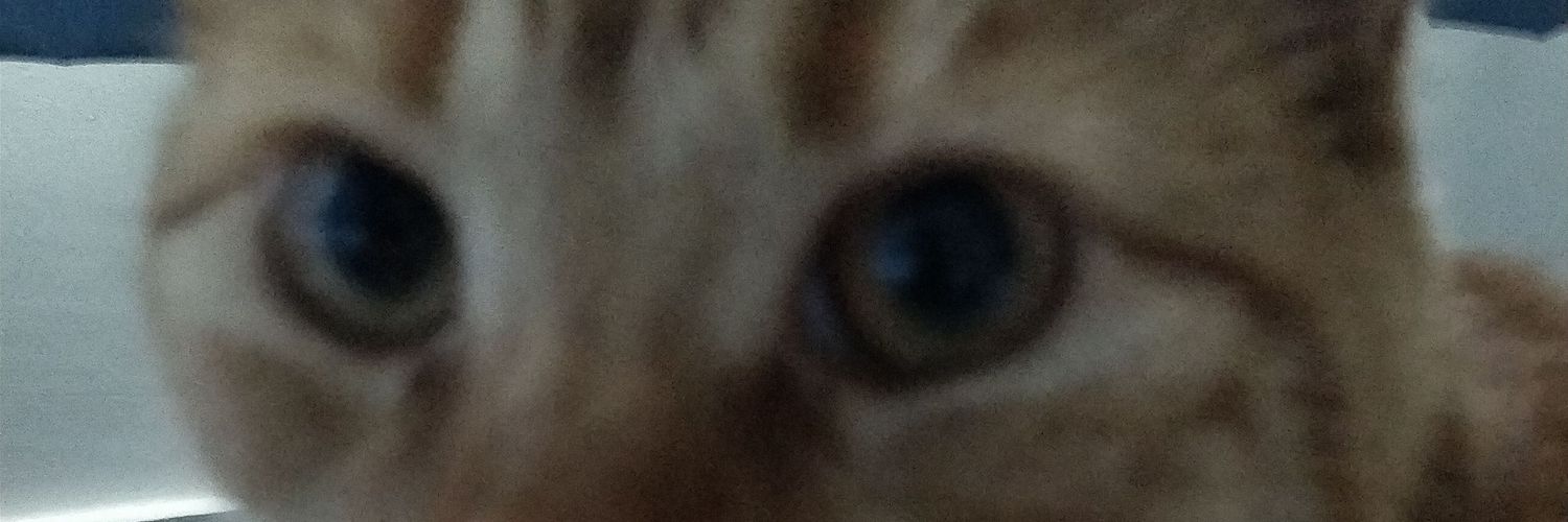 Max Nancarrow banner