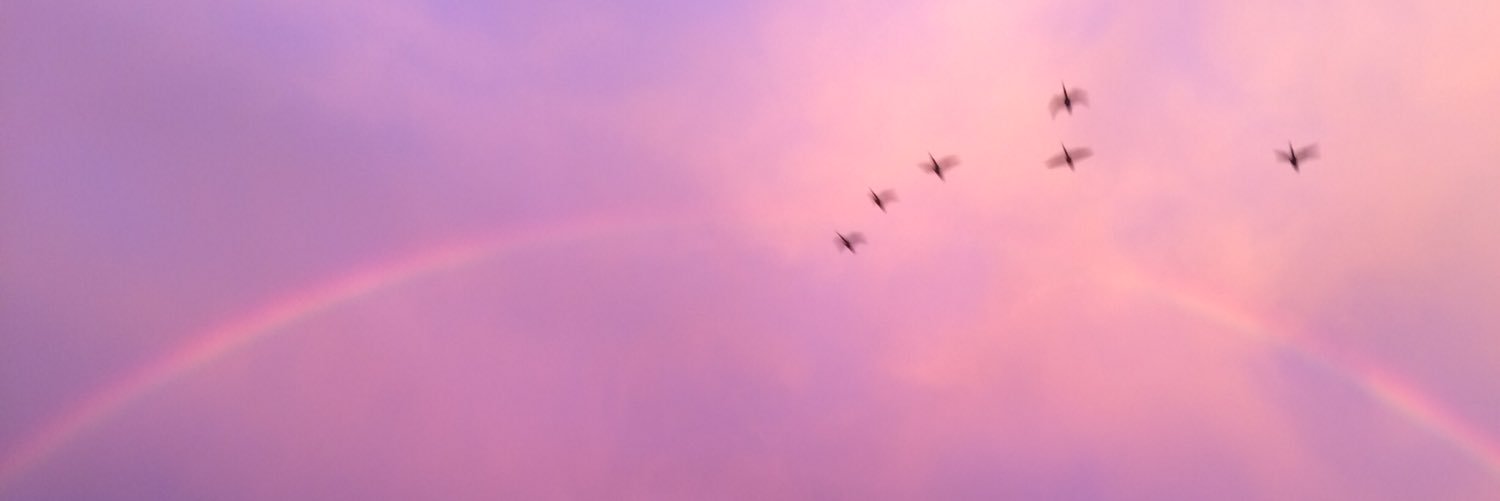 Lnotursafespace's profile banner image