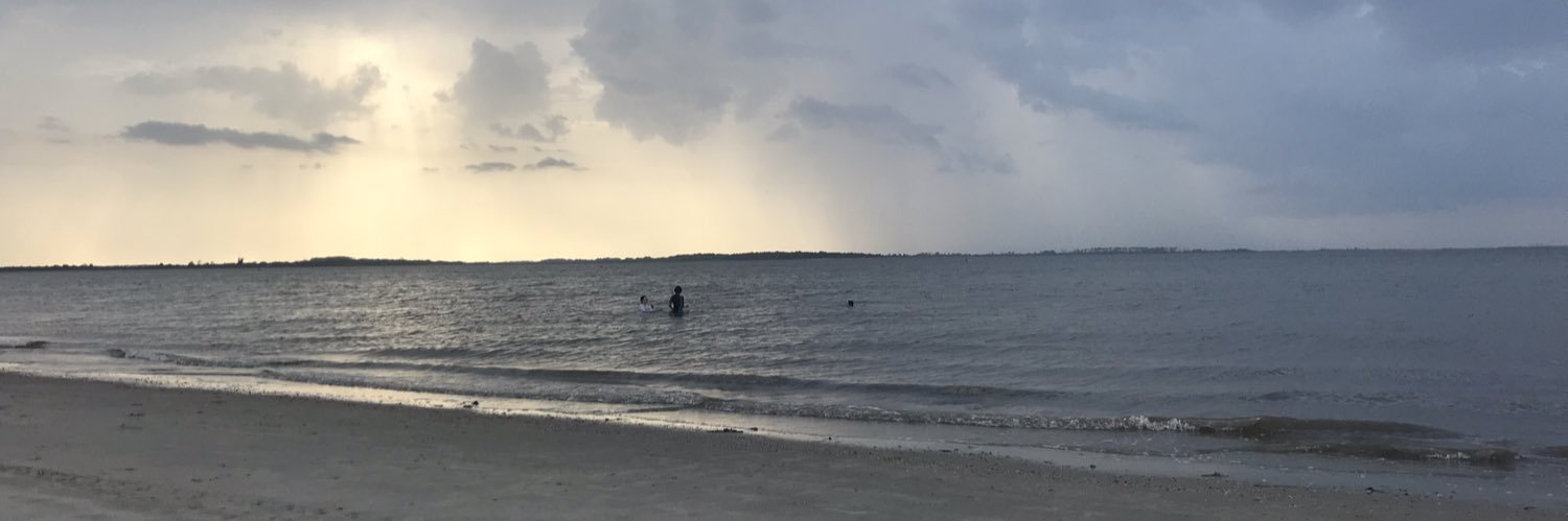 lizzywick's profile banner image