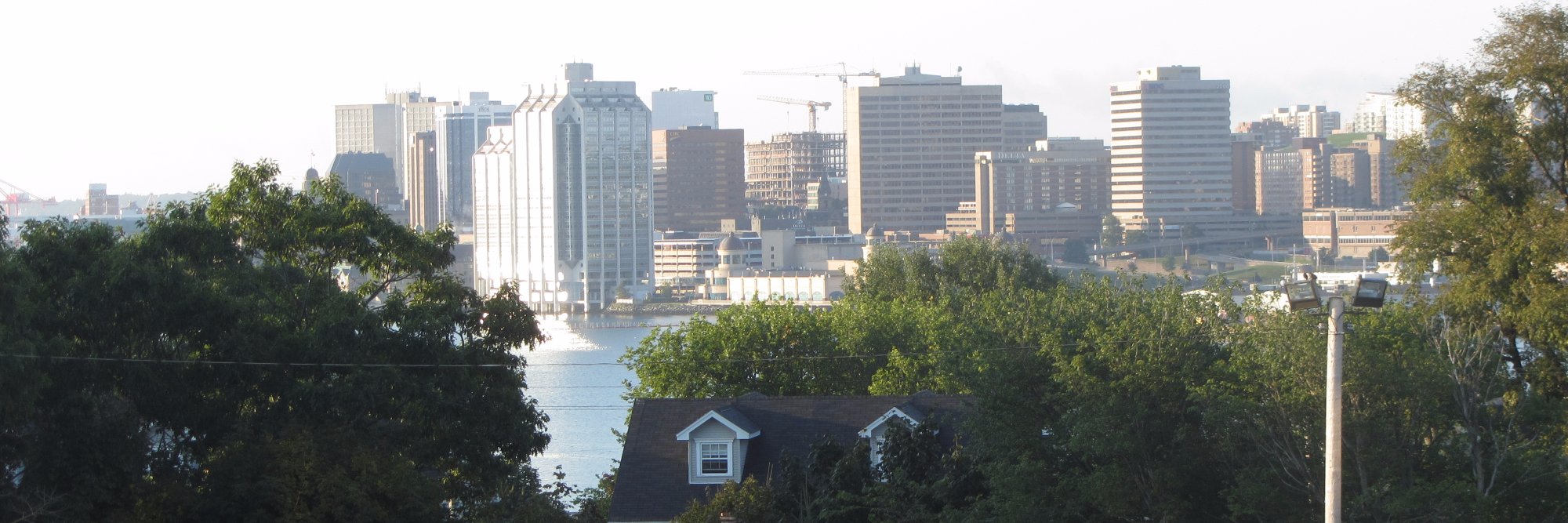 DavGoo Trump for P banner