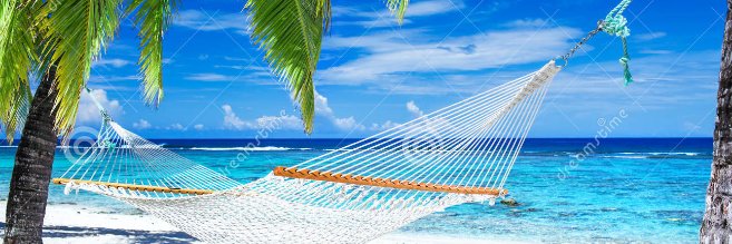 Angelfish0601's profile banner image