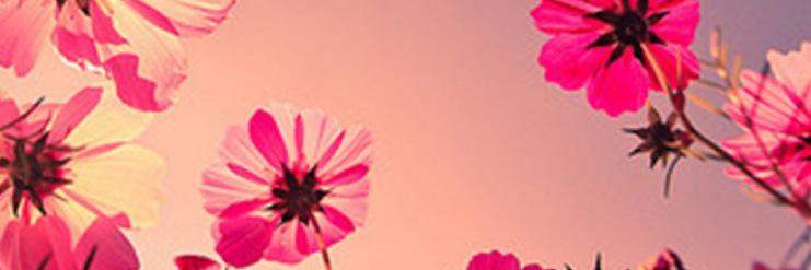 onyex's profile banner image