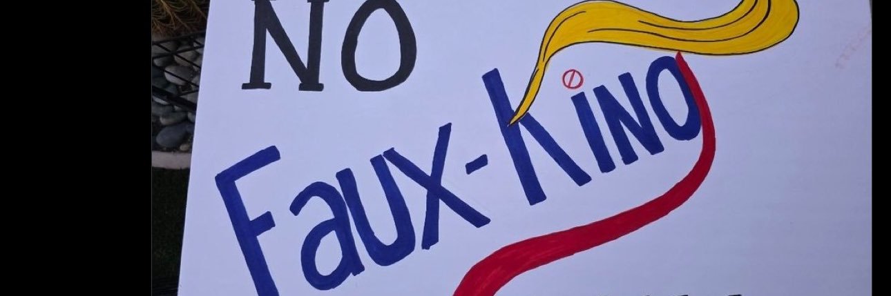 The Slim Jane 🇺🇸🇺🇦💙🌊 banner