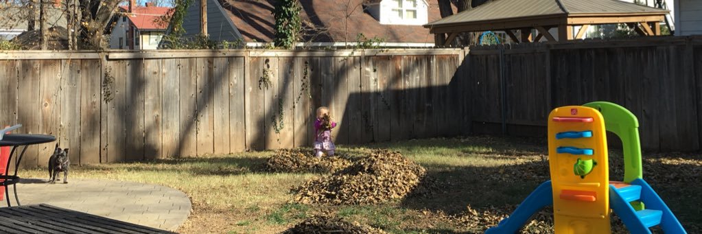 CatherineNeellyBurto banner