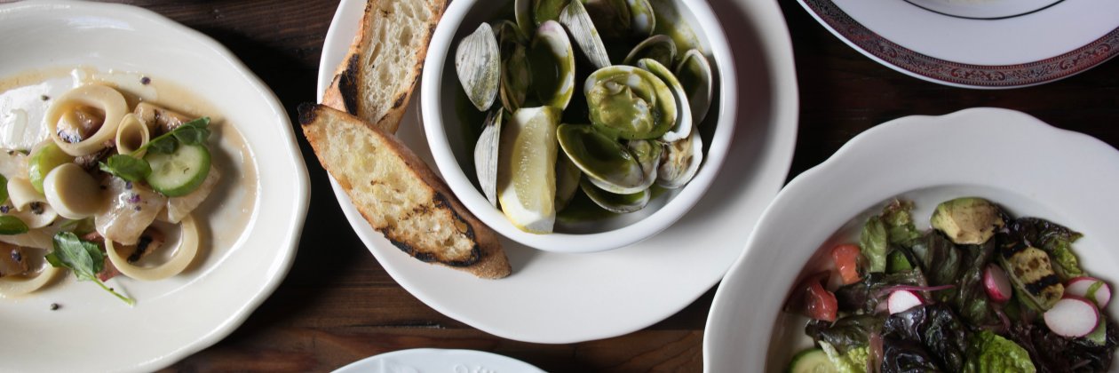 STARR Restaurants banner