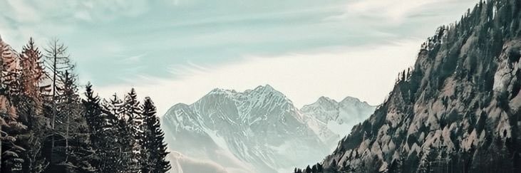 bailey_alston's profile banner image