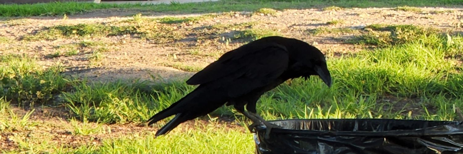 Alestor Stone banner