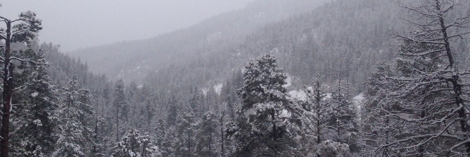 AshlynS14's profile banner image