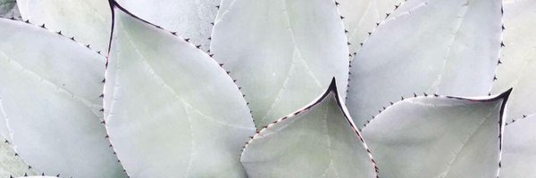 ninibuns Profile Banner