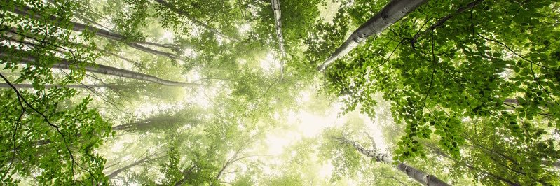 MARCmaWord's profile banner image