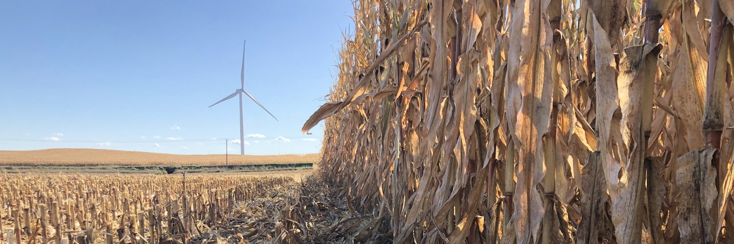 Bailey J. Adams banner