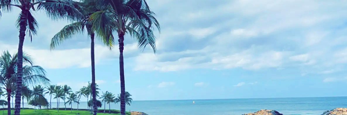 MrCastle42's profile banner image