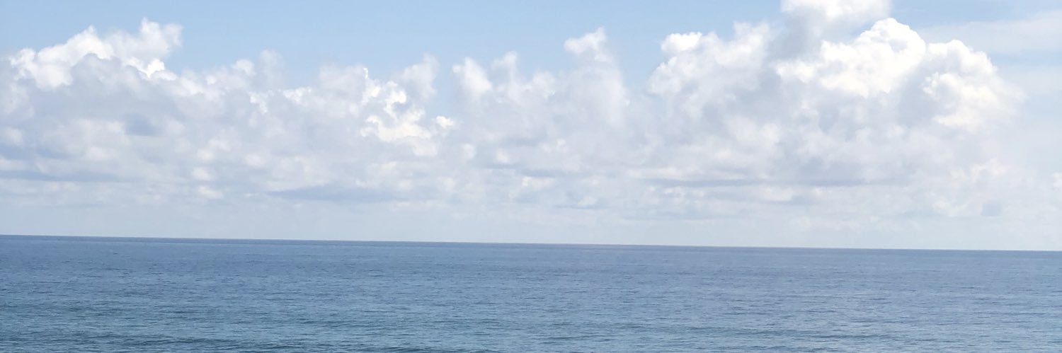 JennelleMBurden's profile banner image