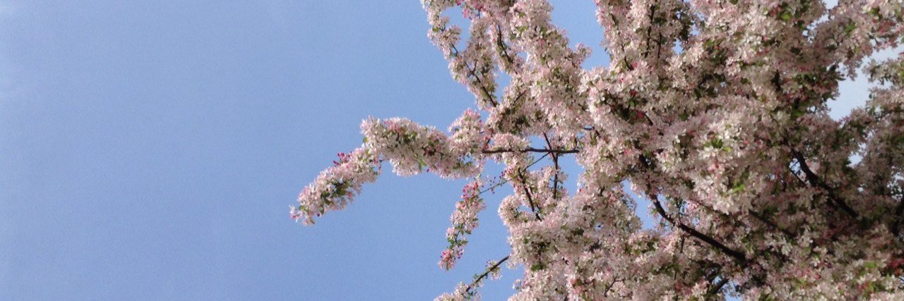poIaroids's profile banner image