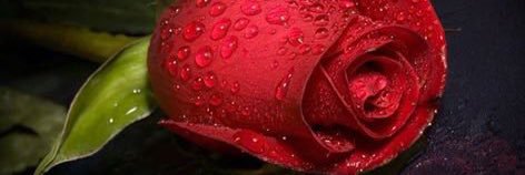 2rori's profile banner image