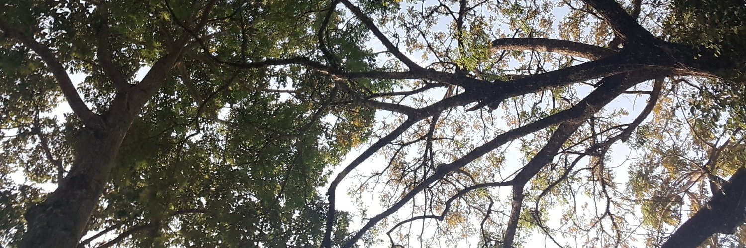 AtiqahViolet's profile banner image
