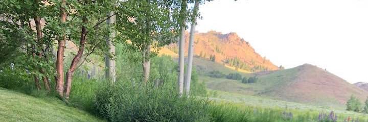 Namontrose's profile banner image