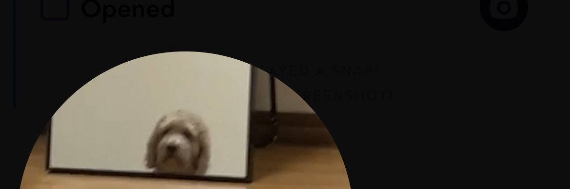 kelli_sleefe's profile banner image