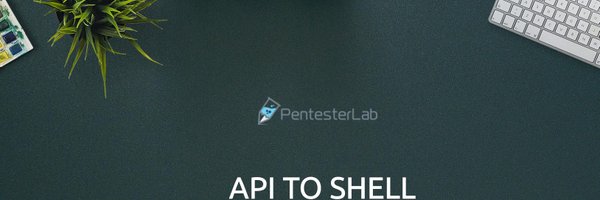 PentesterLab Profile Banner