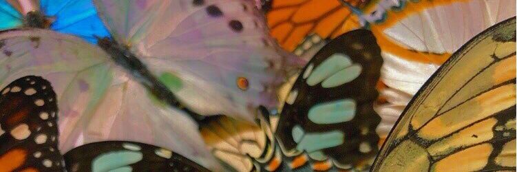 _saturninee_'s profile banner image