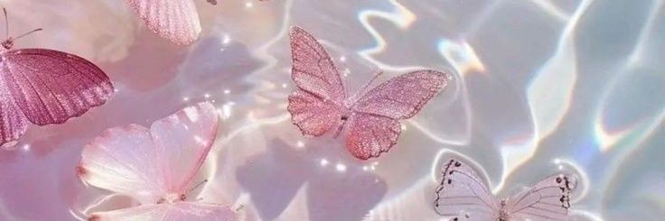 valecabralm's profile banner image
