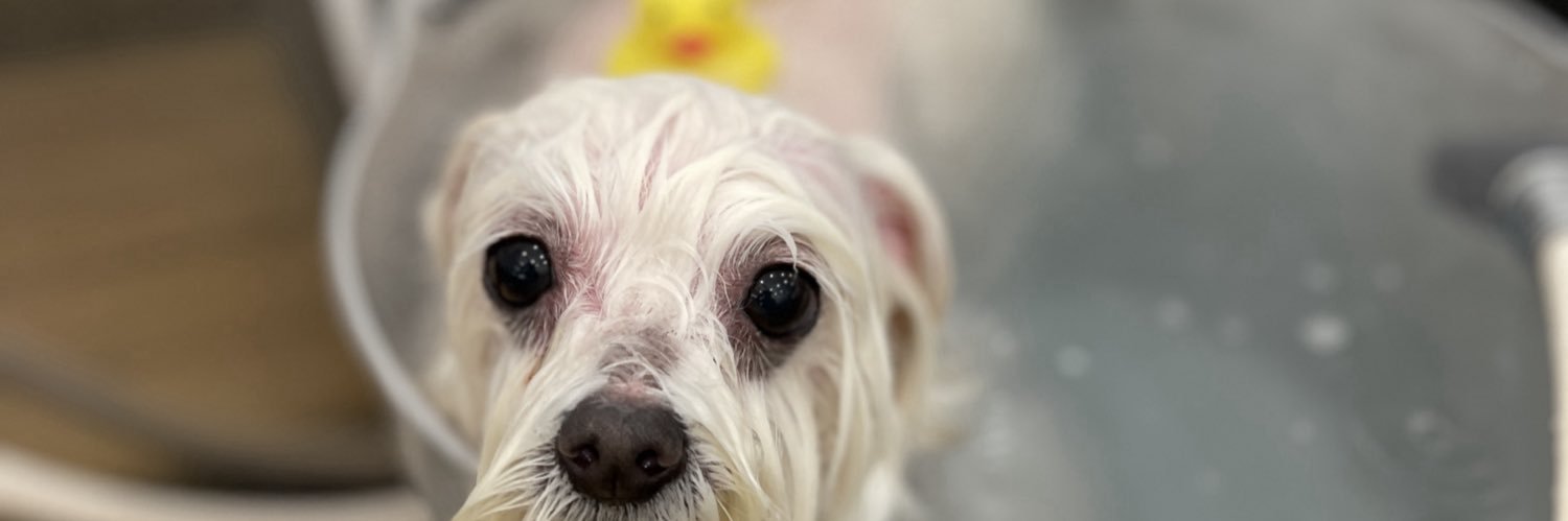 11yui12's profile banner image
