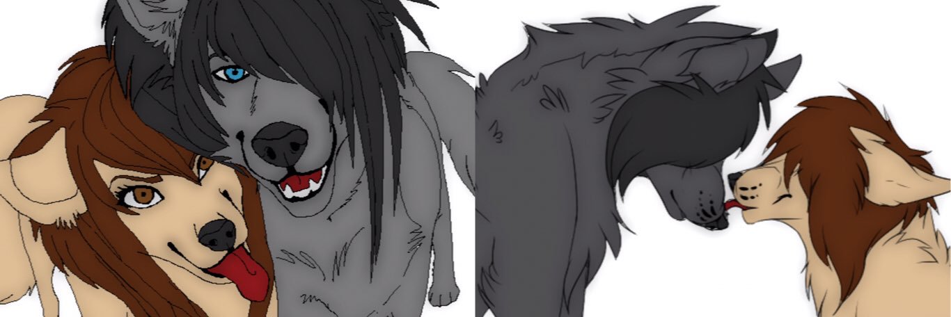 TIny_Kitten00's profile banner image