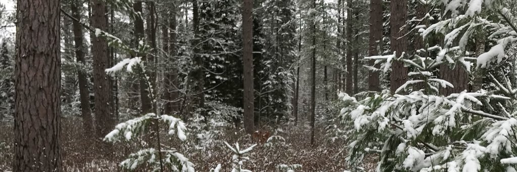 plainwhitefred's profile banner image