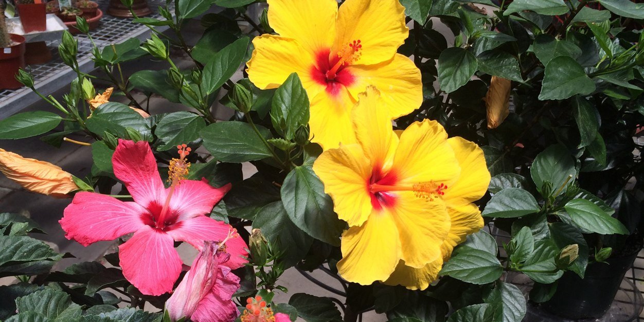 Tierrathinks's profile banner image