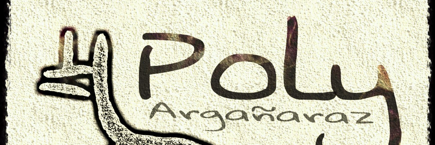PolyArganaraz's profile banner image
