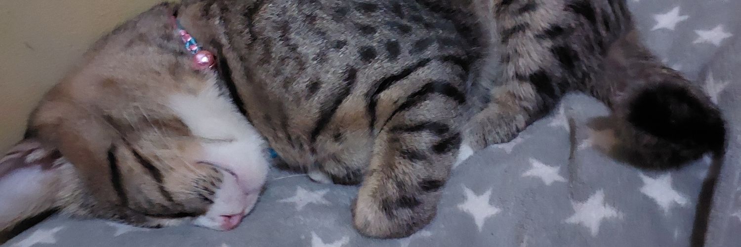 septianggera's profile banner image
