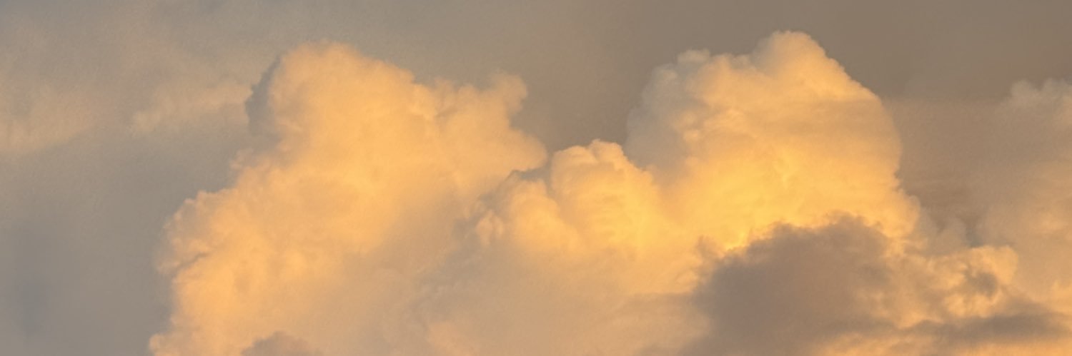 grainyybrain's profile banner image