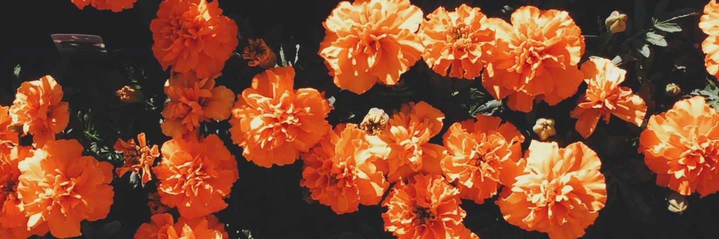 helii24's profile banner image