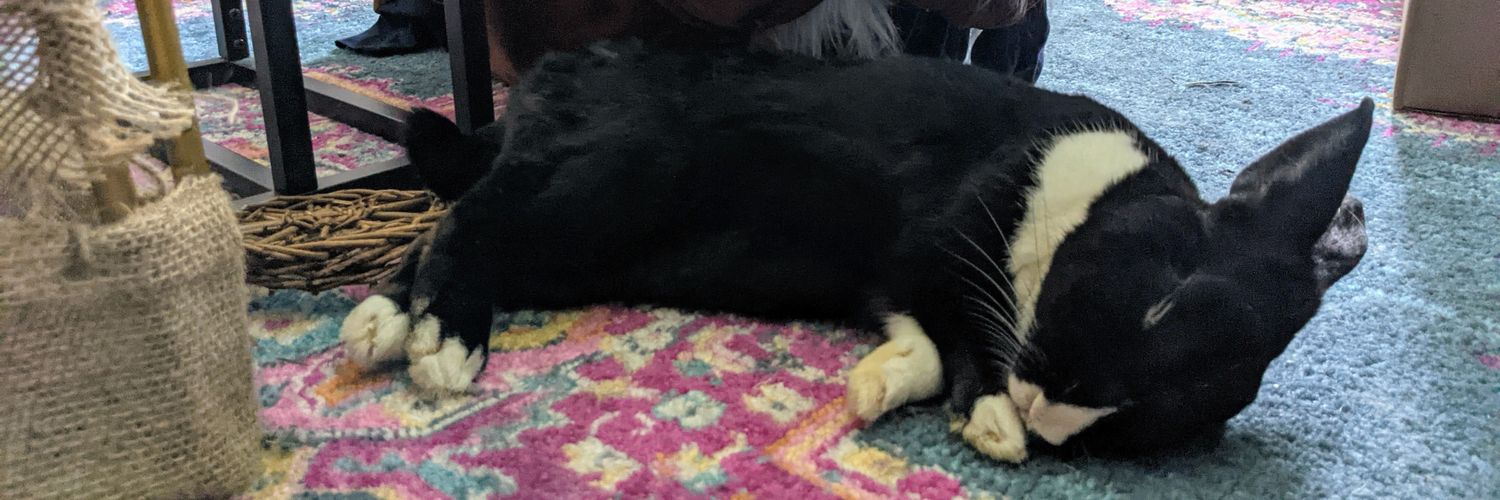 Erica Bunnies & Puppies banner