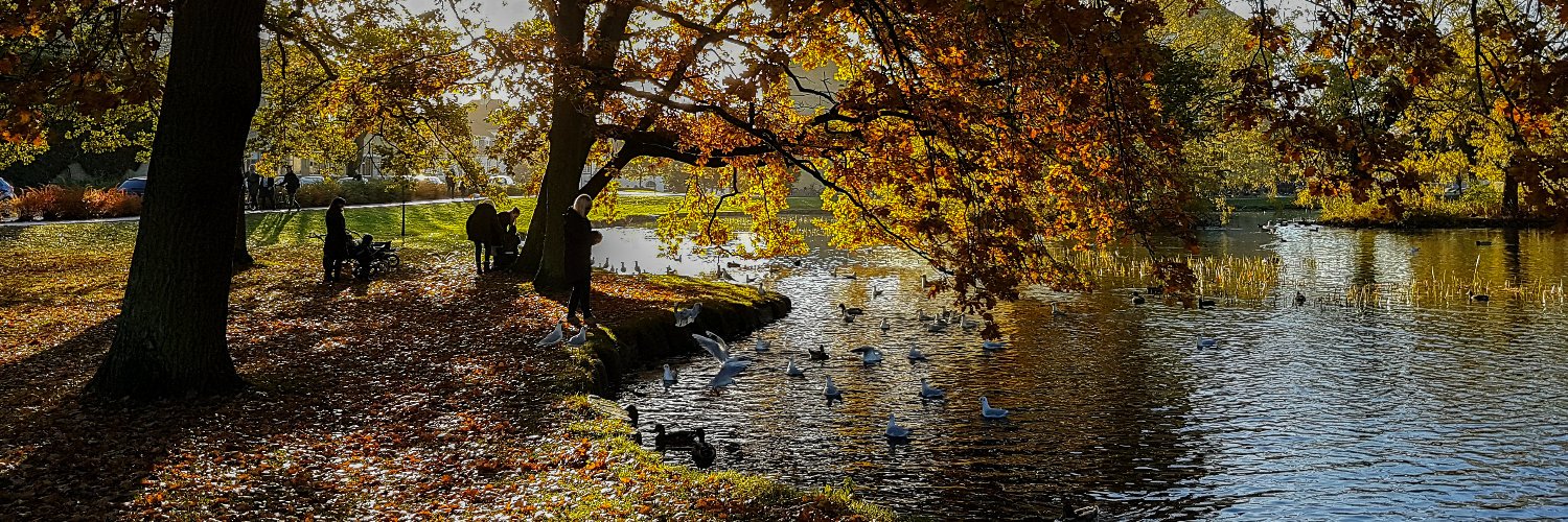 PatrickLaub's profile banner image