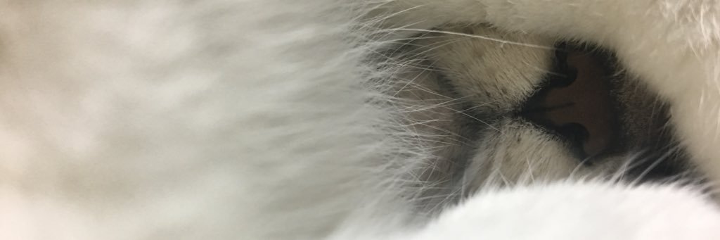 yajisuke618's profile banner image