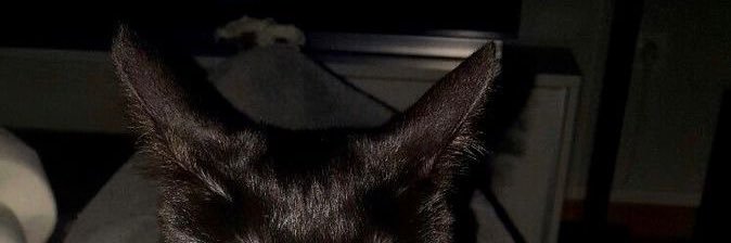 luqyourself's profile banner image