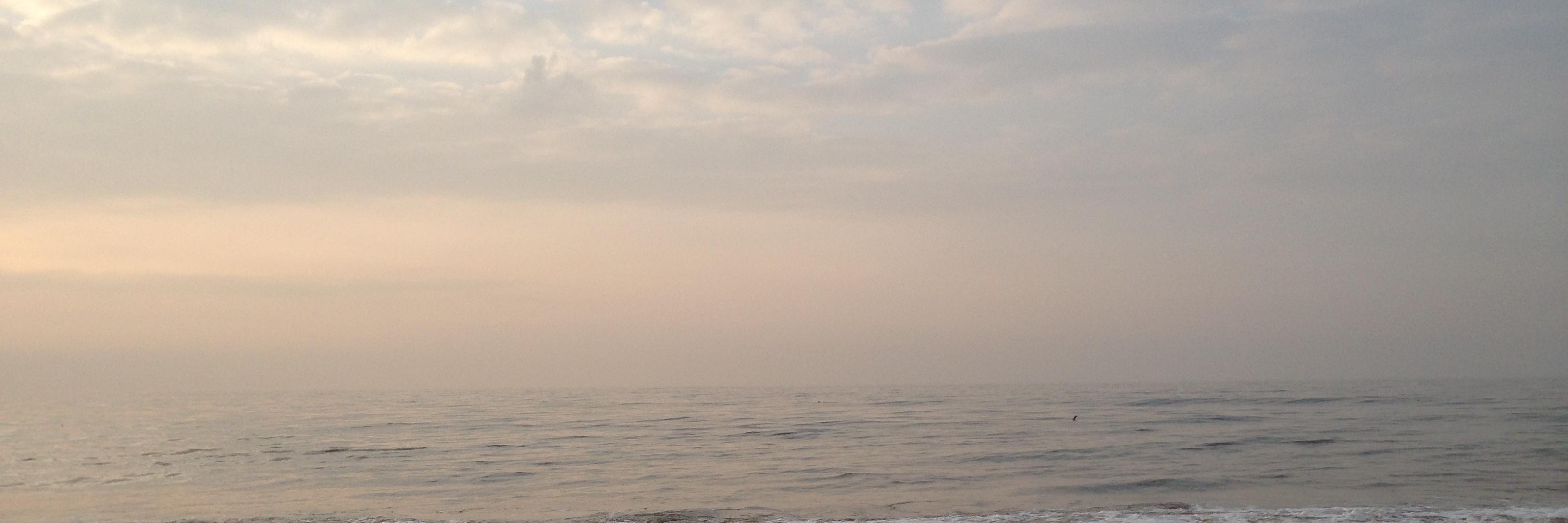 Alexander Zeh banner