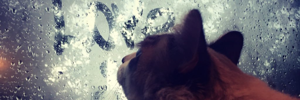 DraAChvez's profile banner image