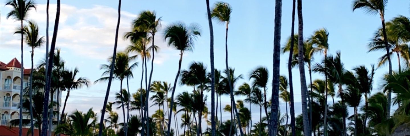 BonoboBenny's profile banner image