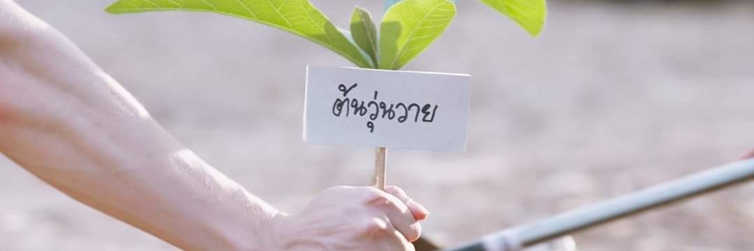 Jeyelemsi's profile banner image